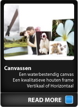 Canvassen