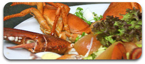food6 food6